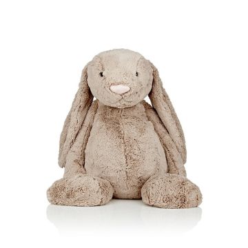 تصویر  Big Bashful Bunny